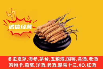 麻阳县回收冬虫夏草